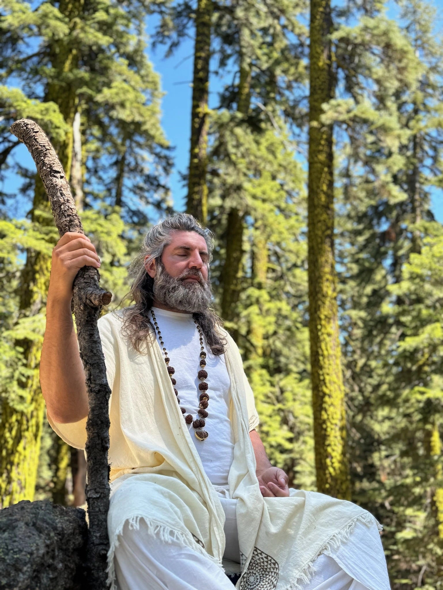 Kundalini Energy Activations with Shivananda Swamiji