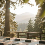 Stay At Our Ashram In Italy